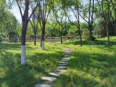 -莲花池公园