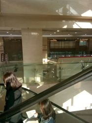 -复旦大学附属妇产科医院(黄浦院区)