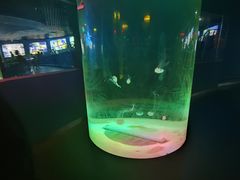 -苏州海洋馆