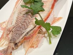 -大浪潮·潮汕菜·招牌生腌小青龙(福田店)