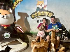 -柴犬高等学院·狗咖·柴犬售卖·宠物训练