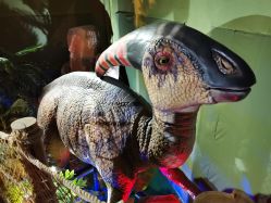 -恐龙探索乐园(磁器口店)