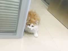-美迦爱-牙专科·兔科·骨科诊疗中心(北苑店)