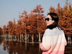 -白鹭湾湿地公园