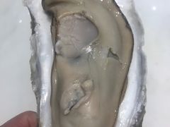 -济南海鲜大市场