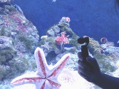 -成都浩海立方海洋公园