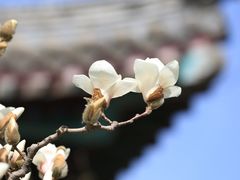 -颐和园