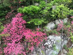 -罗田薄刀峰风景区
