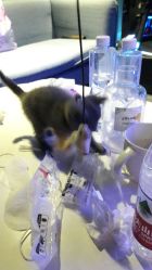 -BBVR团建聚会体验馆·亲子DIY手工