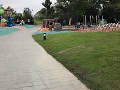-两河城市森林公园