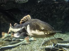 -太平洋海底世界