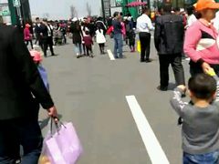-荷兰花海