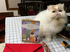 -申普宠物医院·眼科·心内科·影像科(普陀分院)