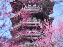 -洋湖国家湿地公园