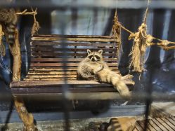 -酷嗒动物文化乐园(cutezoo西溪乐天城店)