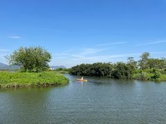 -芒洲湿地公园