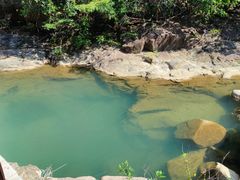 -广州白江湖森林公园