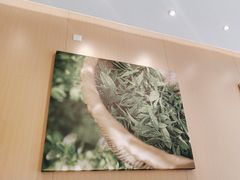 -奈雪的茶(奥园广场店)