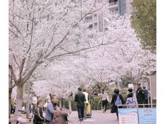 -西北湖绿化广场