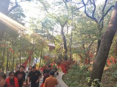 -灵岩山风景区