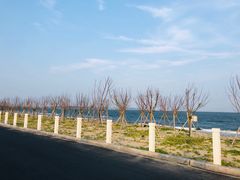 -汕头中海黄金海岸水上乐园