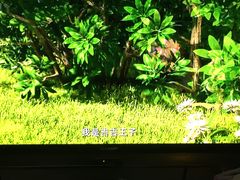 -岽锦泰禾影城(海星广场店)
