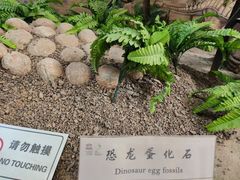 -延庆地质公园博物馆