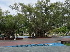-万绿园