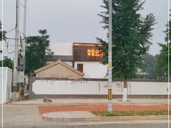 -向外鱼乐·土菜·虹鳟鱼