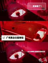 -La Rose·轻奢皮肤管理