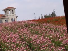 -歌斐颂巧克力小镇