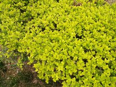 -南京邮电大学-第2食堂