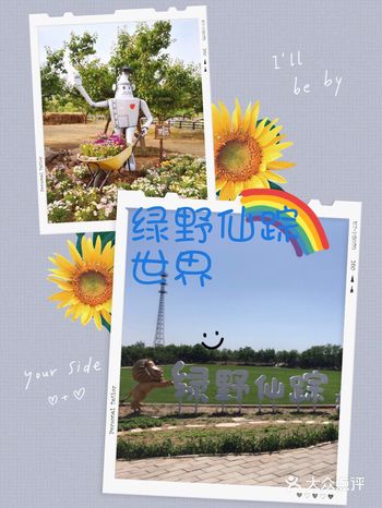 绿野仙踪乐趣多#需预约#