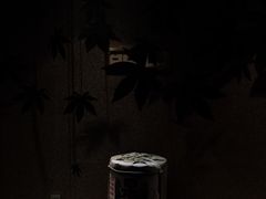 -上海外滩悦榕庄酒店