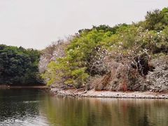 -广州莲花山旅游区