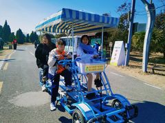 -盐城丹顶鹤湿地生态旅游区