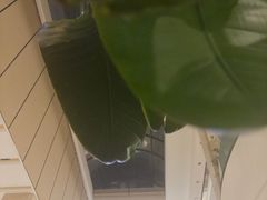 -大书房咖啡(中传国交店)