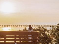 -宝安西湾红树林湿地公园