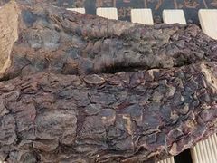 -上海市长宁区天山中医医院