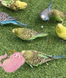 -萌宠亲子动物乐园(槐房万达店)