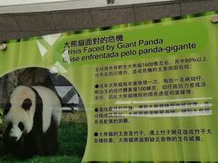 -石排湾郊野公园