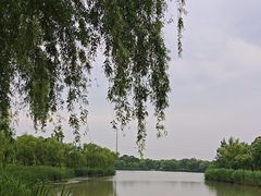 -九科绿洲