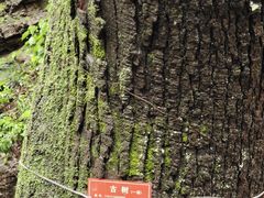 -北京上方山国家森林公园