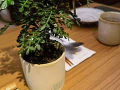 -CURRY YA 熟成咖哩專門店(深圳湾万象城店)