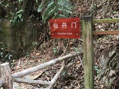 -南丹山森林王国