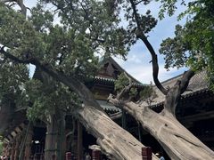 -晋祠博物馆