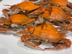 -清雅臻品·竹林院落·新派青岛菜(崂山店)