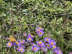 -白草畔自然风景区