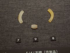 -鸿山遗址博物馆