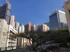 -香港大学